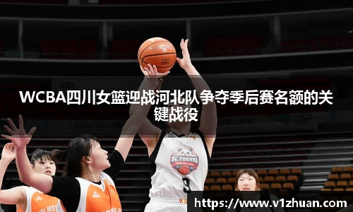 3377体育最新地址